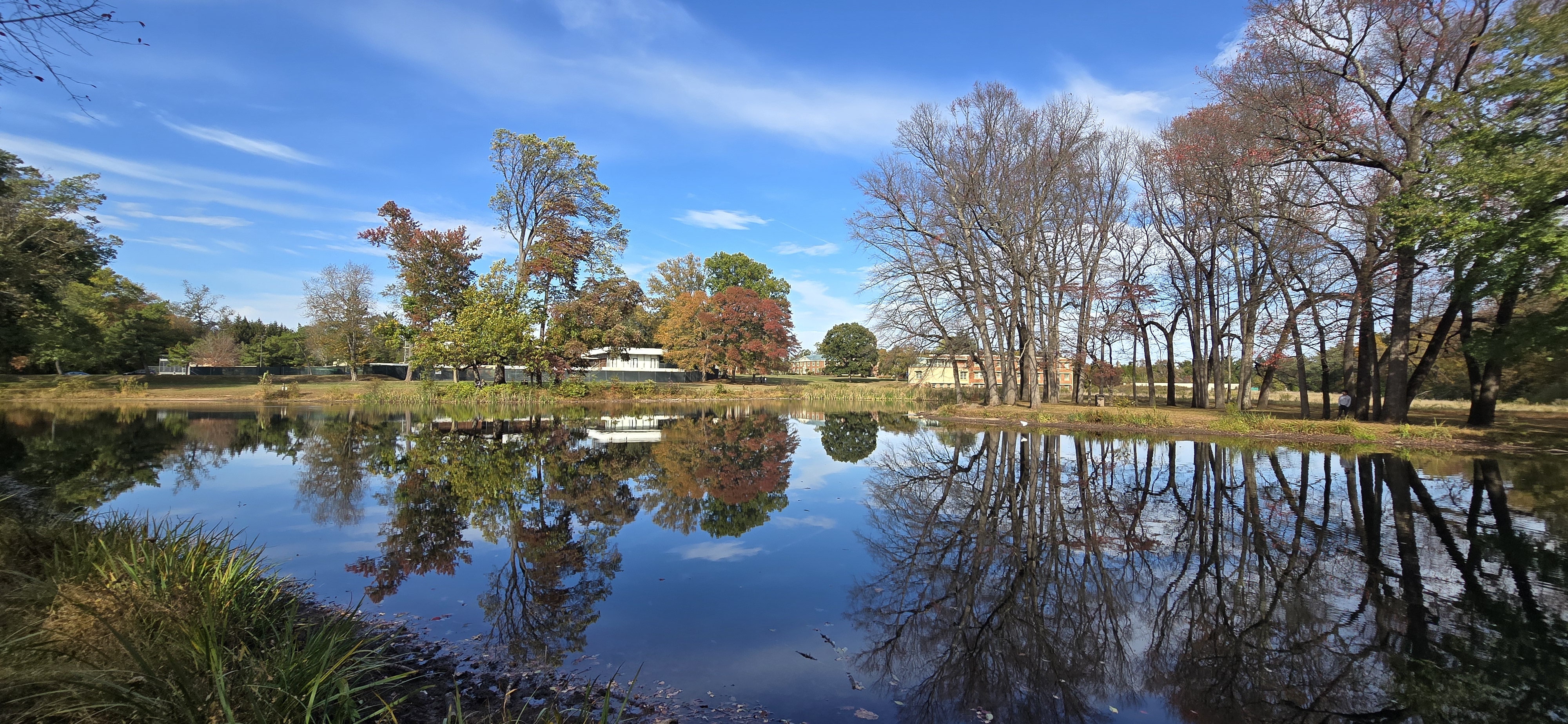 IAS pond overall view